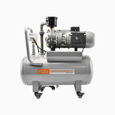 旋片真空泵站FVN-0020D 220V